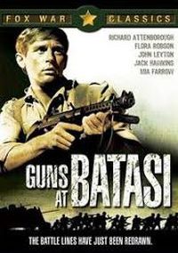 Guns at Batasi