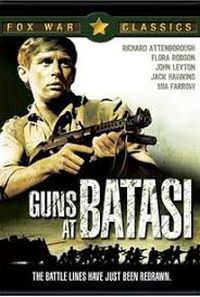 Guns at Batasi